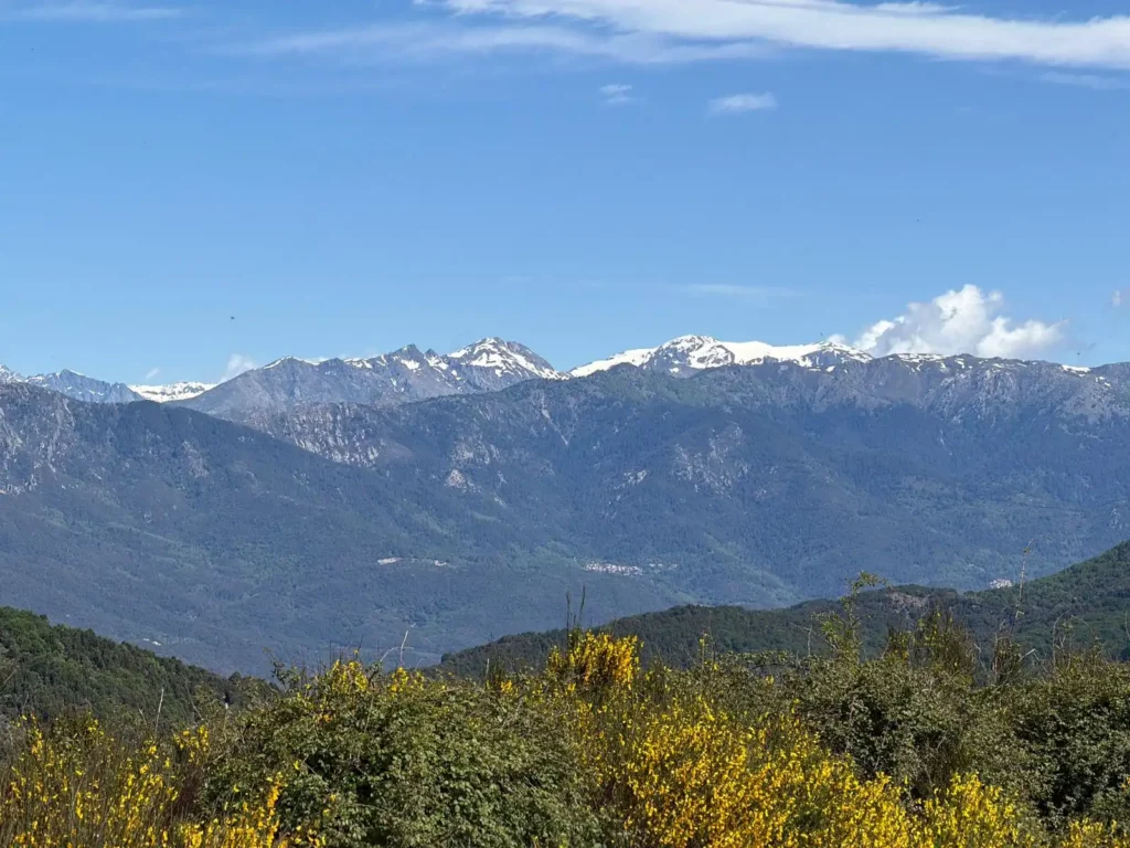 La Corse au printemps